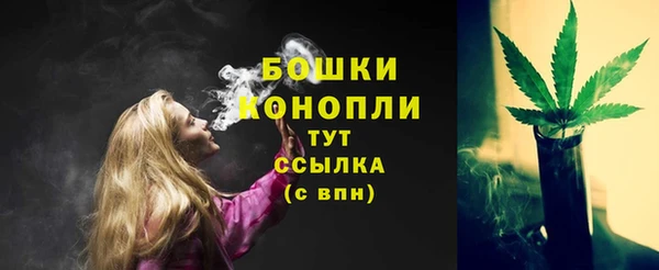 spice Балахна