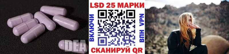 kraken зеркало Николаевск Лсд 25 экстази ecstasy