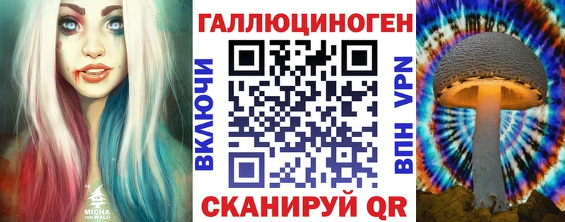 купить закладку Николаевск Псилоцибиновые грибы Magic Shrooms